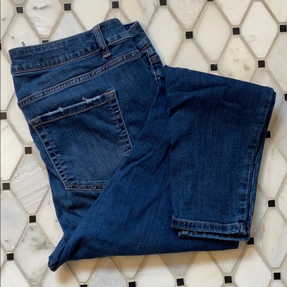 Lane Bryant Denim - Lane Bryant Signature Fit Skinny Jean - 16